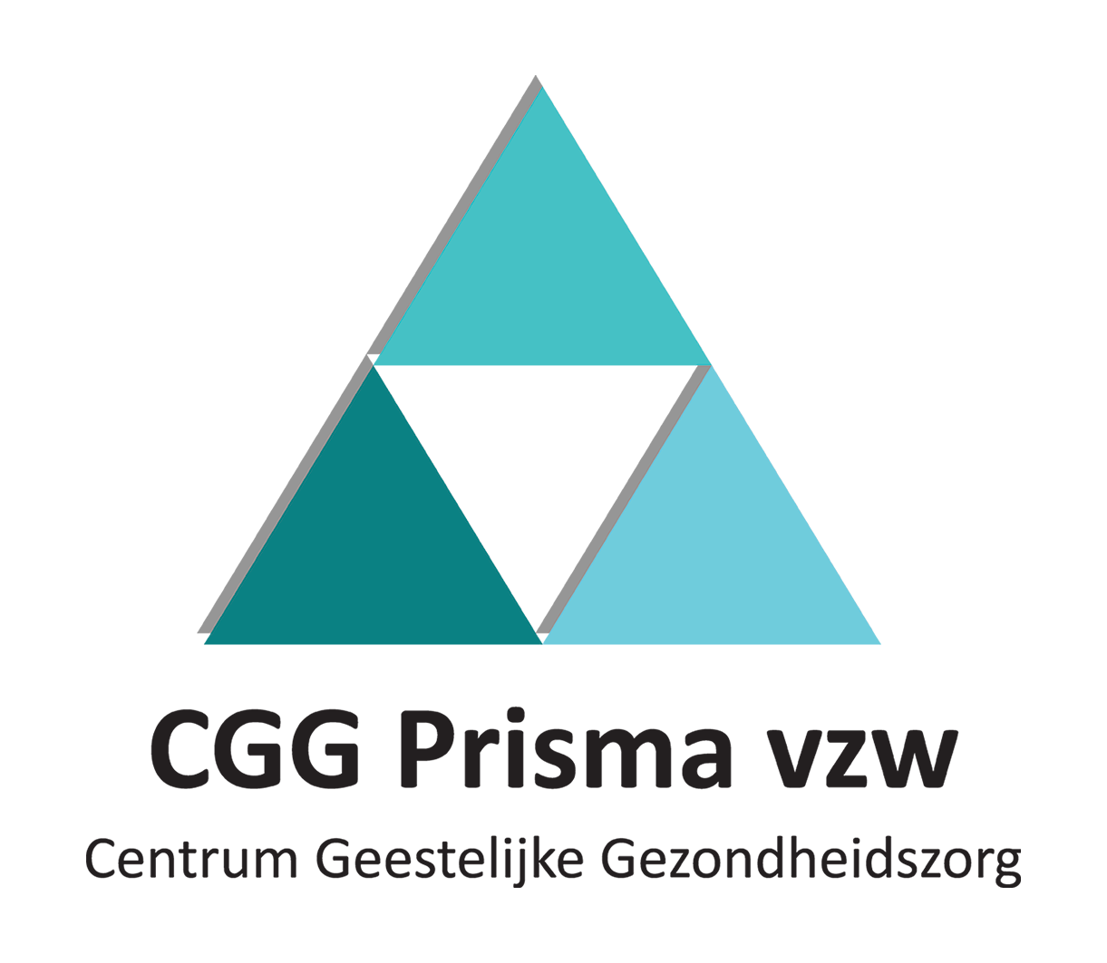 Prisma CGGZ